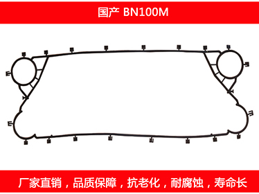 BN100M detachable plate heat exchanger gasket